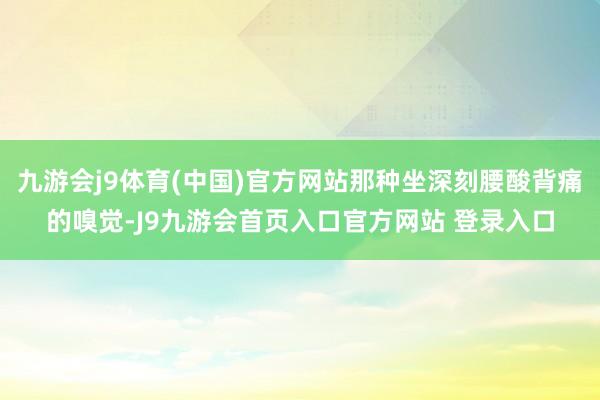 九游会j9体育(中国)官方网站那种坐深刻腰酸背痛的嗅觉-J9九游会首页入口官方网站 登录入口