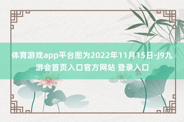 体育游戏app平台图为2022年11月15日-J9九游会首页入口官方网站 登录入口