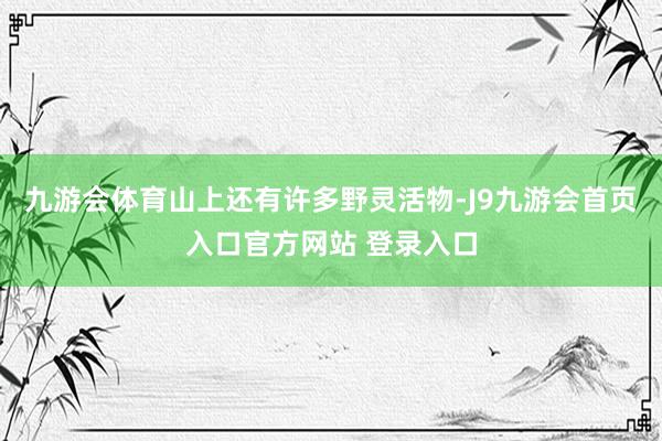 九游会体育山上还有许多野灵活物-J9九游会首页入口官方网站 登录入口