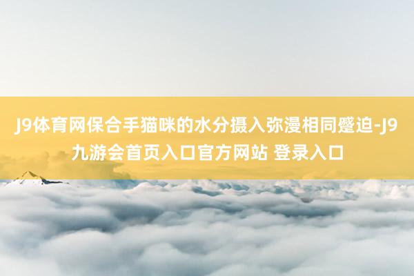 J9体育网保合手猫咪的水分摄入弥漫相同蹙迫-J9九游会首页入口官方网站 登录入口