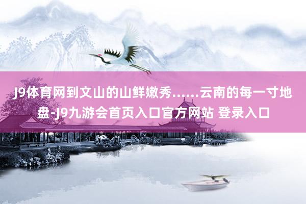 J9体育网到文山的山鲜嫩秀......云南的每一寸地盘-J9九游会首页入口官方网站 登录入口