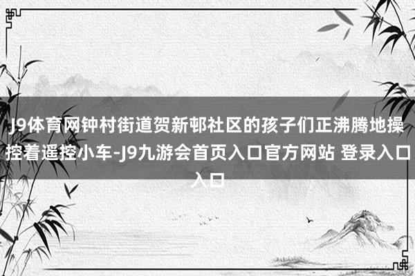 J9体育网钟村街道贺新邨社区的孩子们正沸腾地操控着遥控小车-J9九游会首页入口官方网站 登录入口