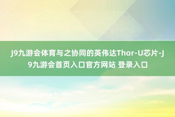 J9九游会体育与之协同的英伟达Thor-U芯片-J9九游会首页入口官方网站 登录入口